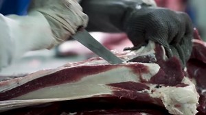Process Slaughtering Beef According Standardized Sizes Stock Footage Video (100% Royalty-free) 1064282854 | Shutterstock