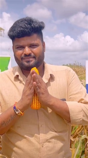 Raj Pareet on Instagram: "ರೈತ ಬಾಂದವರು ಮೆಕ್ಕೆಜೋಳ ಹೆಚ್ಚಿನ ಲಾಭಕ್ಕಾಗಿ ಅಡವಂಟಾ P A C 741 ಬಿಜವನ್ನು ಬಳಸಿ #cornseed #sustainablefarming #corn #agriculture #papertowelmethod #seedlingtray #cornseeds #seedling #seedlings #sustainable #farmingonabudget #vermicompostingbin #vermicomposting #vermicompost #bahamasagriculture #sustainability #growwithme #dipngrow #papertowel #habaneroseed #habaneroseedlings #habanero #egg #eggcartoncraft #eggcarton #cuttings #diyfacemask #facemask #organicfacemask #diy"