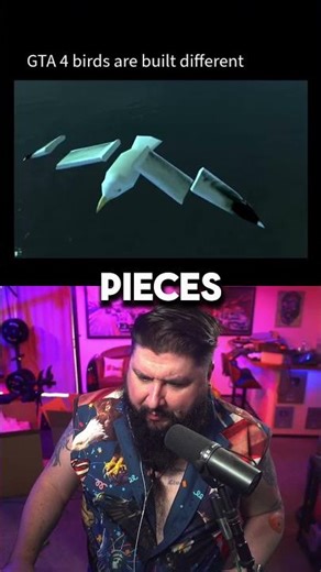 GTA IV Birds Are Not Real