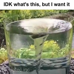 26K views · 27 reactions | amazing :O | GIF Smile | Facebook