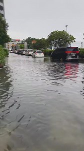 ฝนตกแรง น้ำท่วมหนัก ถล่มศรีนครินทร์หลายจุด บรรยากาศลานจอดรถห้างดัง | พระโขนง บางนา