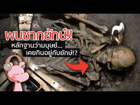 หลักฐานว่ายักษ์เคยอยู่กับมนุษย์!! #ดาร์คไดอะรี่ I แค่อยากเล่า...◄2015►