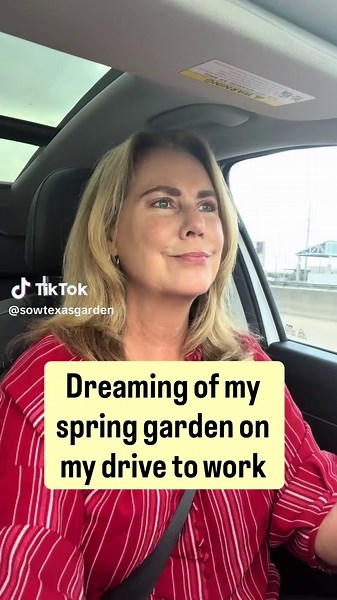 Dreaming about my spring garden on my drive to work. Follow along for hot climate gardening tips and learn what plants grow best together. #backyardgarden #hotclimategardening #companionplanting