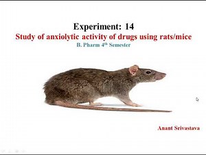 Experiment 14: Study of anxiolytic activity of drugs using rats/mice