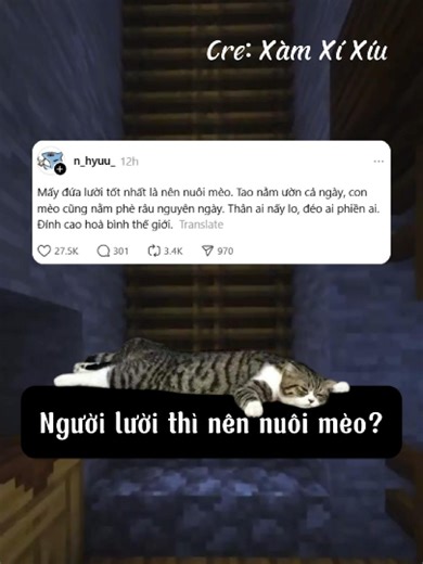 Những giống mèo dễ nuôi cho người lười