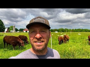 Multi-Species Rotational Grazing | “Should I Mow Behind Animals in the Rotation?” #rotationalgrazing