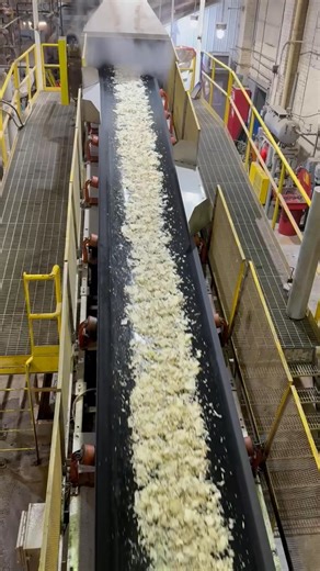369K views · 4.8K reactions | Michigan Sugar Company began its...