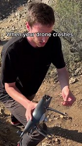 When Nature Strikes: Falcon vs. Drone Showdown!