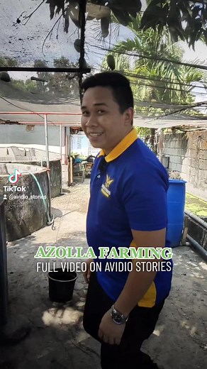 3.1K views · 100 reactions | AZOLLA FARMING ☘️ Watch Full Video Here:  https://bit.ly/433FN0Q #fypシ #foryoupage #agriculture #azolla #AZOLLAFarming #avidiostories #agribusinesses #success | Arthuro Toldanes Sinobago | Facebook