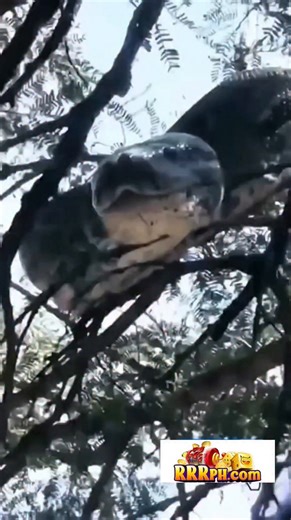 No Ri Bella on Instagram: "Yung Akala mong safety na #repost"