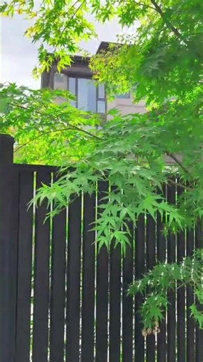 🏡✨ Another Stunning Finish with Our Outdoor Louvre Systems