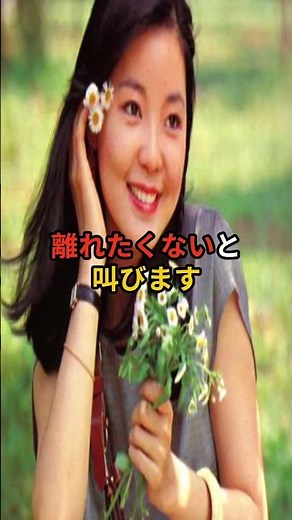 テレサテンのつぐないは恋の歌じゃない