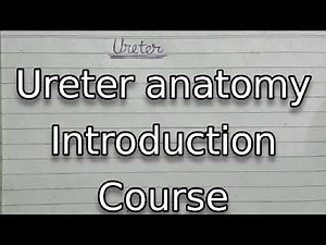 Ureter anatomy - course