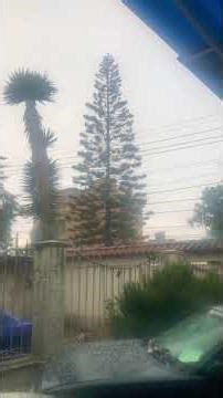 Tormenta tropical hoy