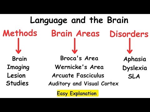 Language and the Brain|Neurolinguistics|Psycholinguistics #linguistics