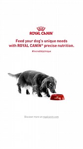 With Royal Canin's full range of wet and dry foods, you can find the precise nutrition your #incrediblyunique dog deserves. | Royal Canin
