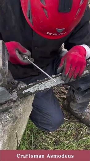 Chainsaw filing techniques