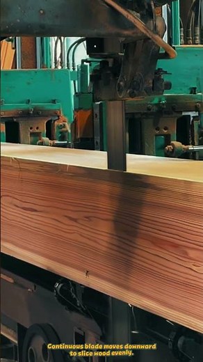 Vertical Band Saw Machine Cuts Timber Blocks with High Precision #machine