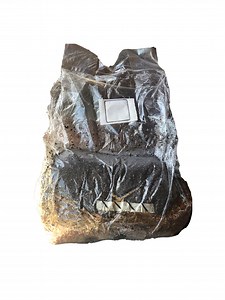 Mushroom Magic All In One Grow Bag