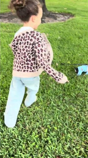 Our Yorkie plays fetch with a stick bigger than him as if he’s a big Rottweiler