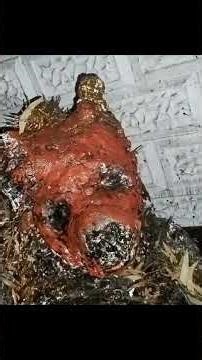 Investigating the dread horror of the uncaged beast