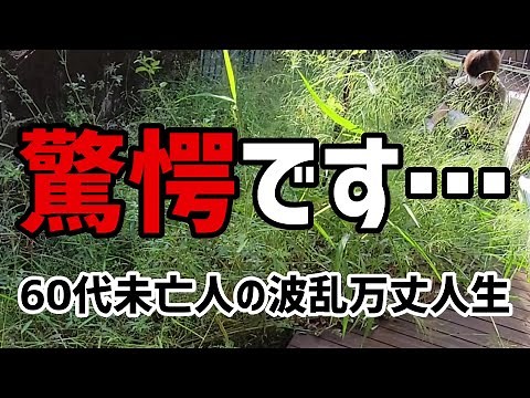 【60代一人暮らし】驚愕です…【シニアVlog】