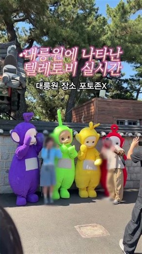 대릉원에 나타난 텔리토비💜💚💛❤️ 경주 팝업 포토타임📸 #경주여행 #텔레토비 #경주 #gyeongju #teletubbies #대릉원 #갱주대릉원
