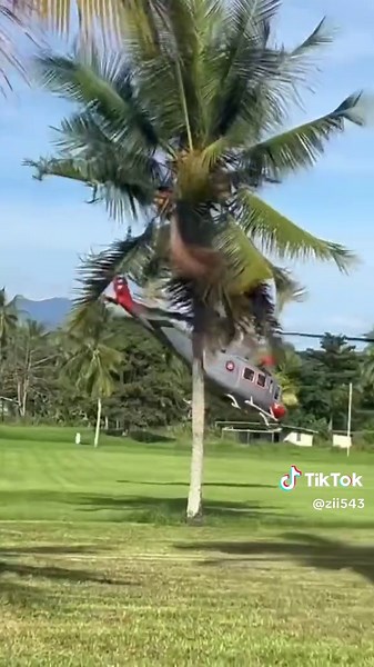 Exploring Pacific Islander Culture and Heritage