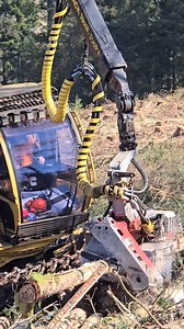 Tigercat's 1165 🤤😍 Want to know more about the harvester? Check out our full video feature now 📺 https://www.youtube.com/watch?v=U0u_qX0s3Ig&t=52s #tigercat #tigercat1165 #forestmachine #logger #logging | Forestry Journal