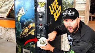 Live Bait Vending Machine Test – Does It Actually Work?