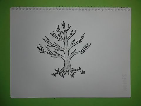 How to draw a tree without leaves || Easy drawing tutorial