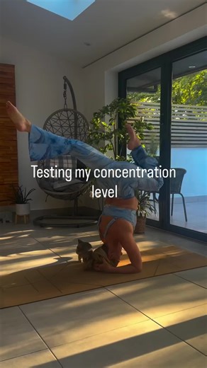 Life has a way of throwing distractions at us right when we think we’re finally focused. But the real magic isn’t in trying to avoid them, it’s learning not to give them power. #ellielouyoga #kitten #playfulkitten #purelove #adorable #yoga #yogapractice #headstand