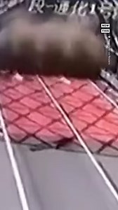 Straight out of an action movie: A driver barely escaped from a tunnel as a rock and mudslide struck in Sichuan, China, on July 5. According to local media, no casualties were reported in the area as a result of the slides. | NowThis