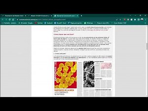 Proyecto integrador módulo 16