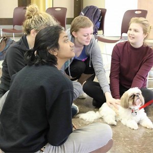 2.7K views · 169 reactions | Stress Relief Dogs in TWU Student Union as part of TWU Destress Fest!!  | Texas Woman's University | Facebook