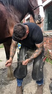 Big goliaths new shoes always stands like a gent 😅 #fyp #shirehorse #farriersoftiktok #equestrian #horse #farrier #work #horse #showumper #horsesofinstagram #farriersofinstagram #tvshowinspird #behinthescenes #visualcontent #videoproduction #hardworkpaysoff #localbusiness #dedication #animalwelfare #humanesociety #rescuemission #reels #reelsplay #reelsvideo #reelsfb #reelspop #viral. | AngelOfficail
