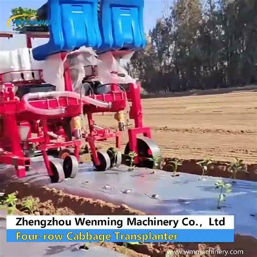 Four row Cabbage Transplanter #machine