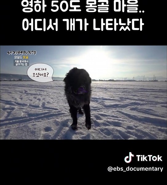 일단 만져야 할 것 같은 기분 #골라듄다큐