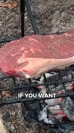 This might be the best way to cook over a fire #survival #bushcraft #cooking