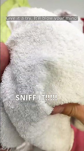 Laundry scent beads - Everything you need to know #laundry #explained