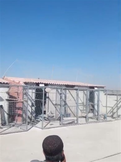 240 km Race Arrivals: Highlights and Insights