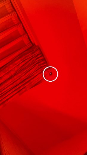 Detecting Hidden Cameras with Smartphone