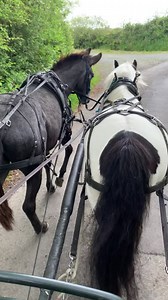 44K views · 5.1K reactions | 朗 Manuel quite simply you are...