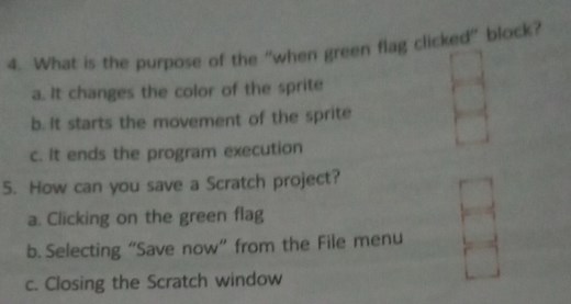What is the purpose of the "when green flag clicked" block?a i... | Filo