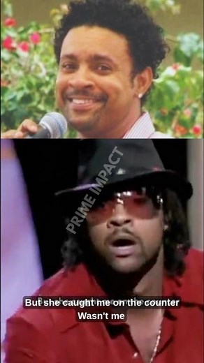 "It Wasn't Me" - Shaggy (2000s Legend) 🎧