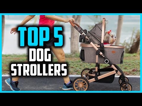 ✅ The 5 Best Dog Strollers in 2025