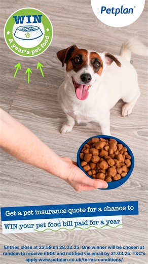 46 reactions · 4 comments | If your pet isn't currently insured by...