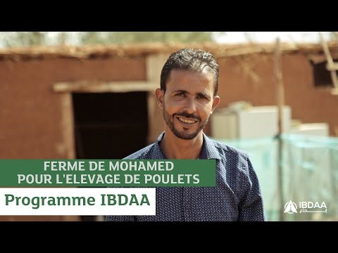 FERME DE MOHAMED POUR L'ELEVAGE DE POULETS | Programme IBDAA
