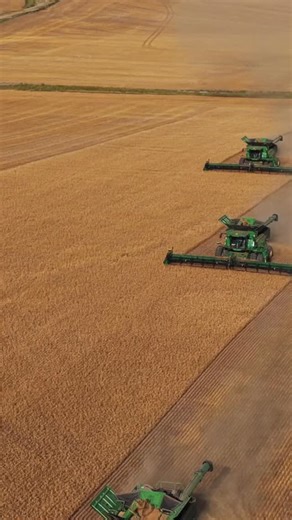 5.9K views · 3.9K reactions | Big 3 . . . . . . . #farming #harvest #johndeere #agriculture #agro #x9 #combine #machinery #equipment #farmer #farm #farmlife #country #foryou #fyp #foryourpage #drone #epic #ag #food #satisfying | Farming Watch | Facebook