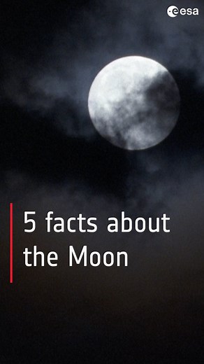 90K views · 861 reactions | We bet that you won’t know all these...